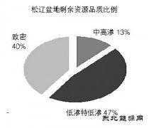 松辽盆地：迈向非常规新时代