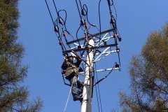 佳木斯供电公司：开展夏季防雷专项行动