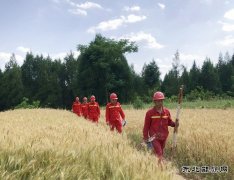 东方物探为中台山构造三维地震勘探项目采集鸣炮