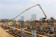 吉林长山：国内首家生物质发电技术改造示范项目开工