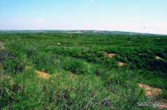 神东沉陷区治理实现环保效益社会效益双赢