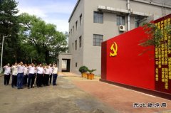 佳木斯供电公司开展“做好先行官、架起连心桥”主题党日活动