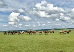 美丽的呼伦贝尔（摄影作品）