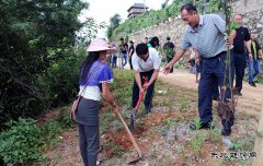 党员干部与挂钩扶贫户同吃同住同劳动