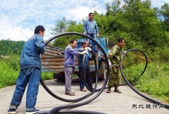 圈（摄影作品）