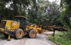 云南勐海路政协调高速公路项目部清除省道安全隐患