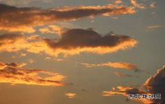 几绸红缎铺天际（摄影作品）