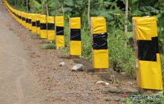 云南西双版纳路政支队党委开展违规经商办企业专项自检自查工作