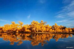 湖边倒影（摄影作品）