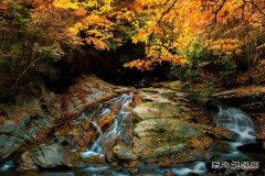 山谷溢金（摄影作品）