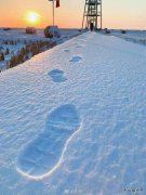 足/xiezuozazhi/＃ㄉ阌白髌罚