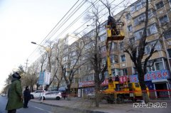 佳木斯供电公司：处理树患 百日攻坚