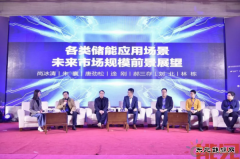 关于2019年中国储能市场走势，听听专家怎么说？