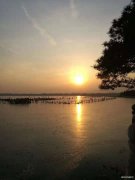 湖面映晨光（摄影作品）