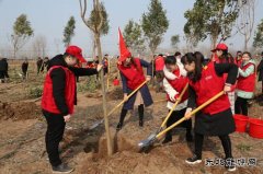 太康县供电公司：志愿服务播新绿