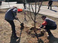 潞安焦化：开展植树节主题活动