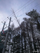 新闻故事 雪中巡线