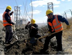 南露天煤矿剥离运行部开展厂区绿化植树活动 助力绿色矿山建设