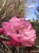 花/xiezuozazhi/2019/0521/＃ㄉ阌氨ǖ溃