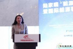 金淑萍：集众智合众力 中国海油创新助力天然气产业健康发展