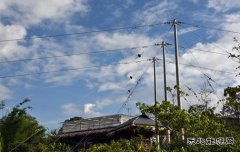 山村输电线（摄影作品）