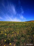 草天辉映（摄影作品）