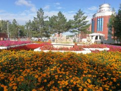 煤城深处的花/xiezuozazhi/2021/0630/＃ㄉ阌白髌罚