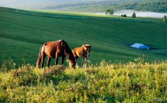 草原风光（摄影作品）