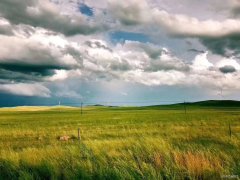 秋日草原（摄影作品）