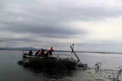 通河供电公司：抗洪抢险保供电 风雨无阻电力人