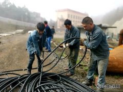 干部职工齐参战  铺设电缆上一线