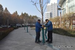 【图片新闻】树木的“冬装”