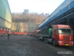 蒲白建庄矿业：日销量创新高 年度强势开局