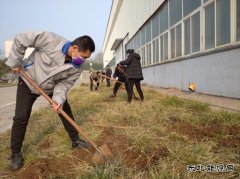 山东英皇体育重装集团乾元公司  战“疫”防控不忘植树 同心协力栽培