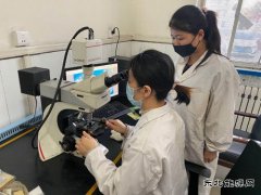 潞安焦化：用“匠心精神”打造“硬品牌”