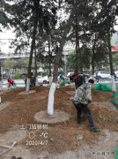 中铁五局西安地铁8号线按下复工“快进键”