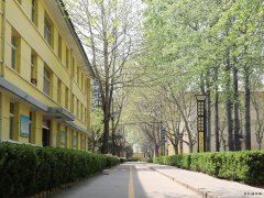 蒲白西固煤业：把“小家碧玉”打扮成“大家闺秀”促煤炭销售