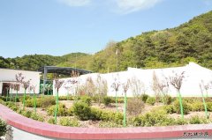 建新煤化：制氮通风搬“新家” 花园风井美如画