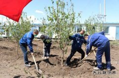 南露天煤矿党支部开展“同植党员林 共爱暖心家”主题党日活动