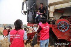 太康县公司：安全宣传进田间