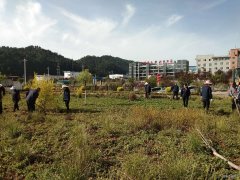 蒲白建庄矿业：开展矿区绿化打造美丽矿山