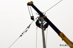 汤原供电公司：一条线路 壮大一个企业