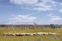 七字管理 绿色生产