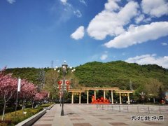 铜川矿业下石节矿：文明花开香满矿山