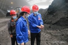 漳电蒲洲热电公司：抓住燃料管理“牛鼻子”