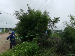 兴凯湖电业公司：盛夏全面清理树障 确保迎峰度夏、防汛安全供电