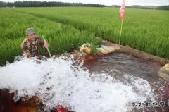 黑龙江兴凯湖电业公司：机井通电扶贫工程让农民走上幸福小康路