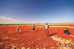 “英皇体育过上了好日子”