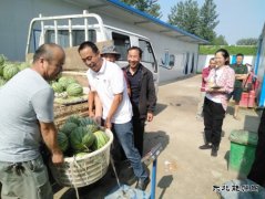 中煤三建二十九处袁二项目部开展“送清凉”活动