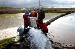 兴凯湖电业公司：电满黑土地 红红火火庆丰收